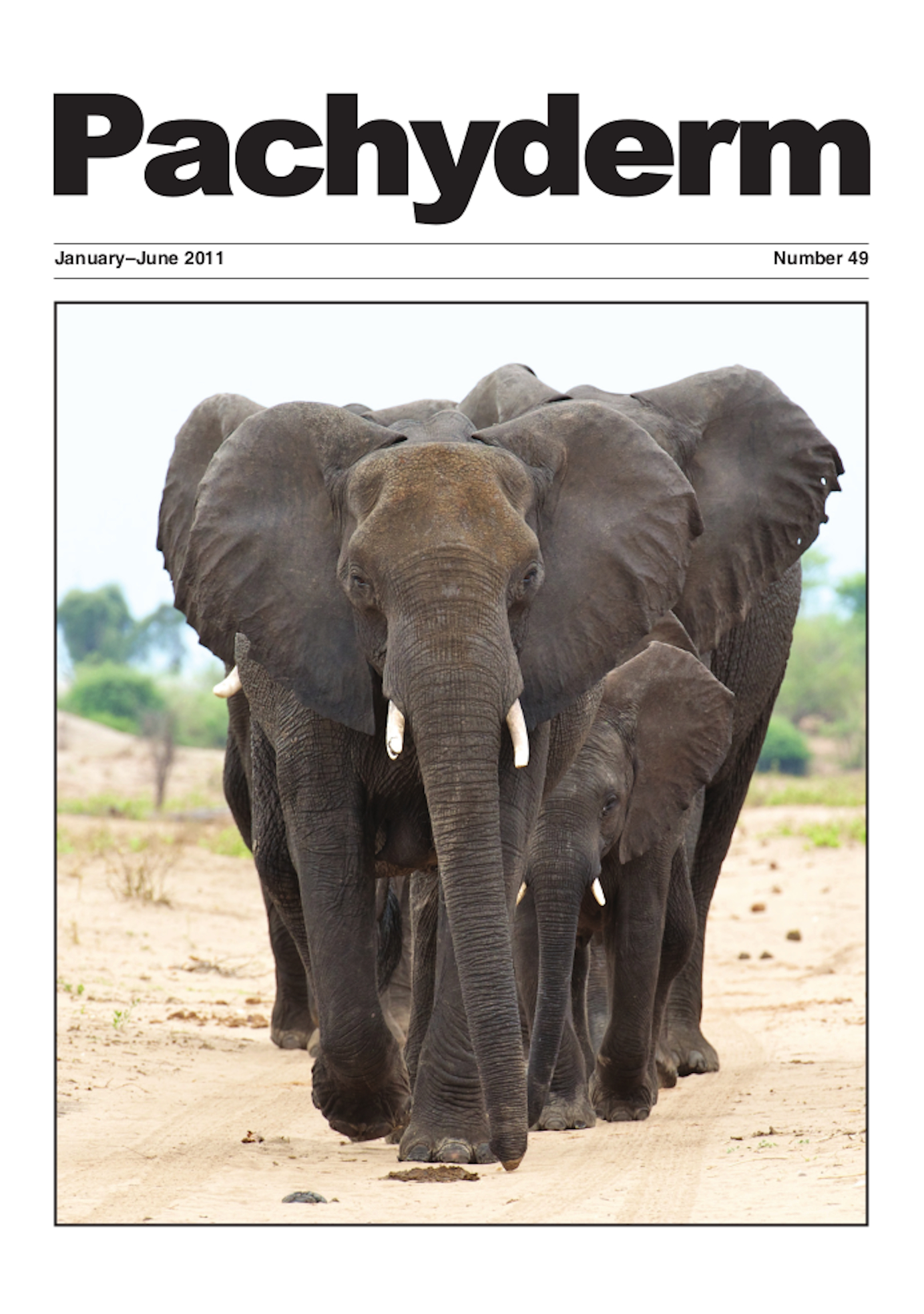 Cover: Elephants in Chobe National Park, Botswana. Photo: M.W. Atkinson