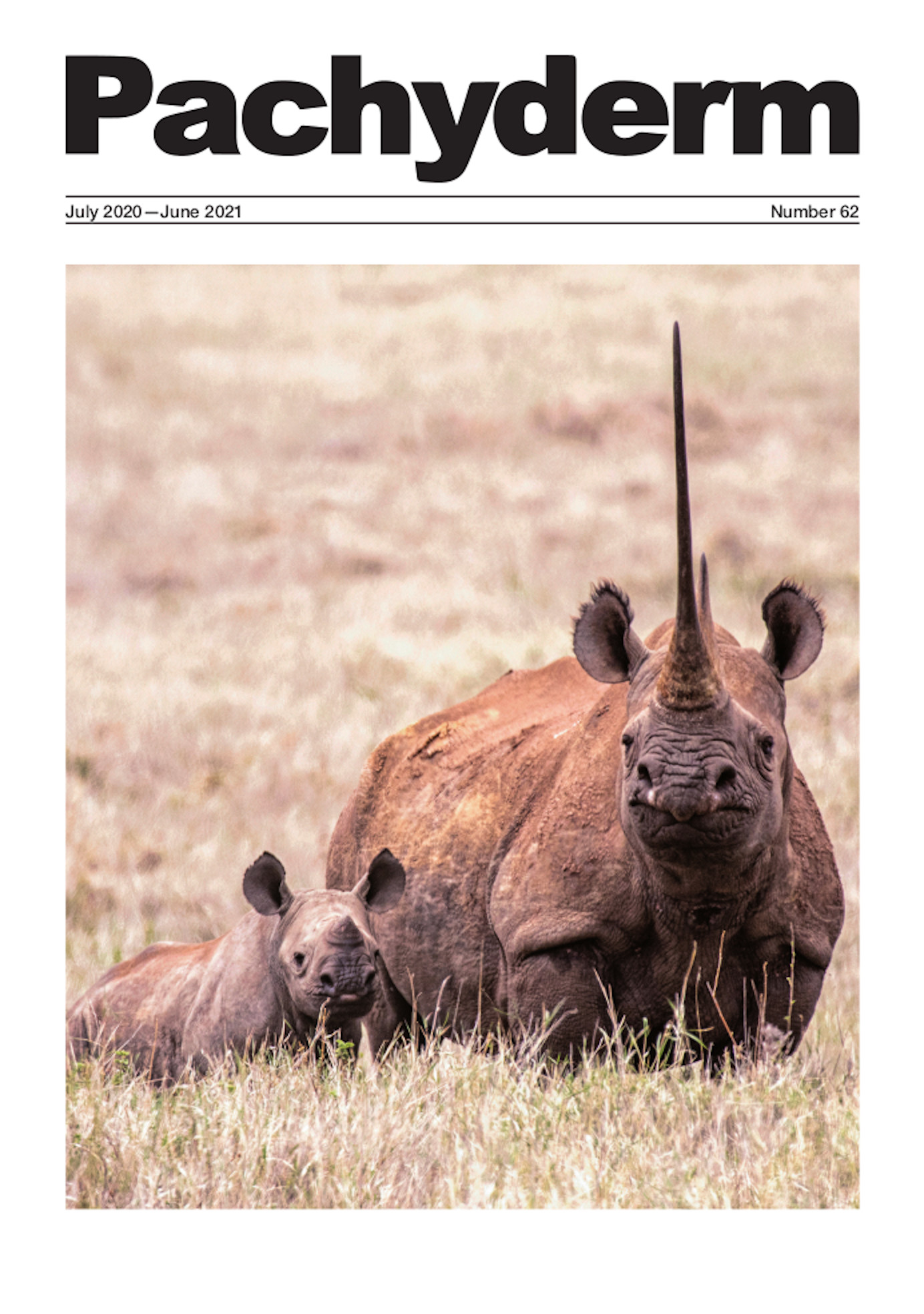 Cover caption:  “Waiwai” with her four-month old calf. Waiwai has successfully raised seven other calves, although one was lost to poachers, aged nine in 2013.  © George Dian Balan