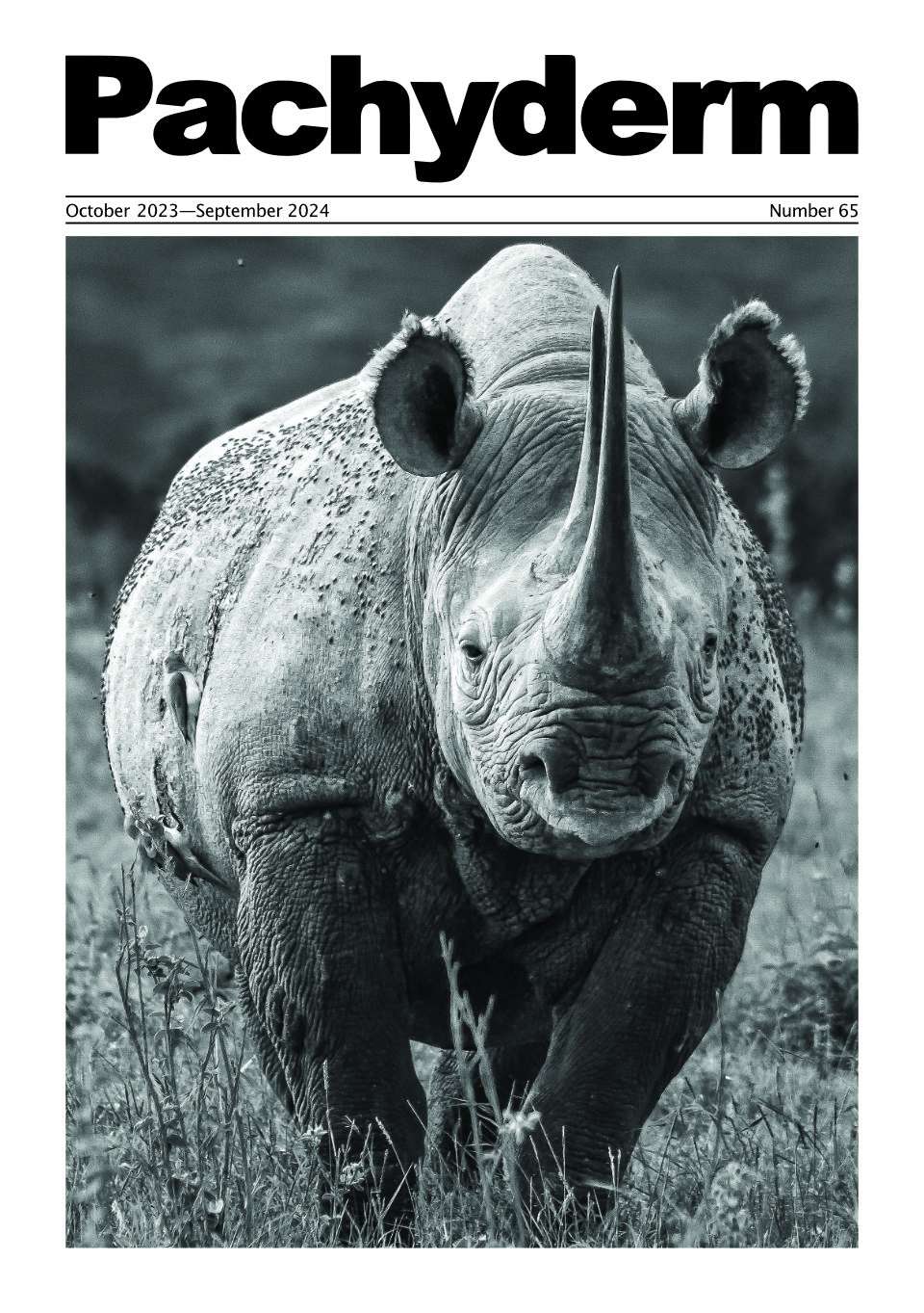 Black Rhino (c) Warren Samuels