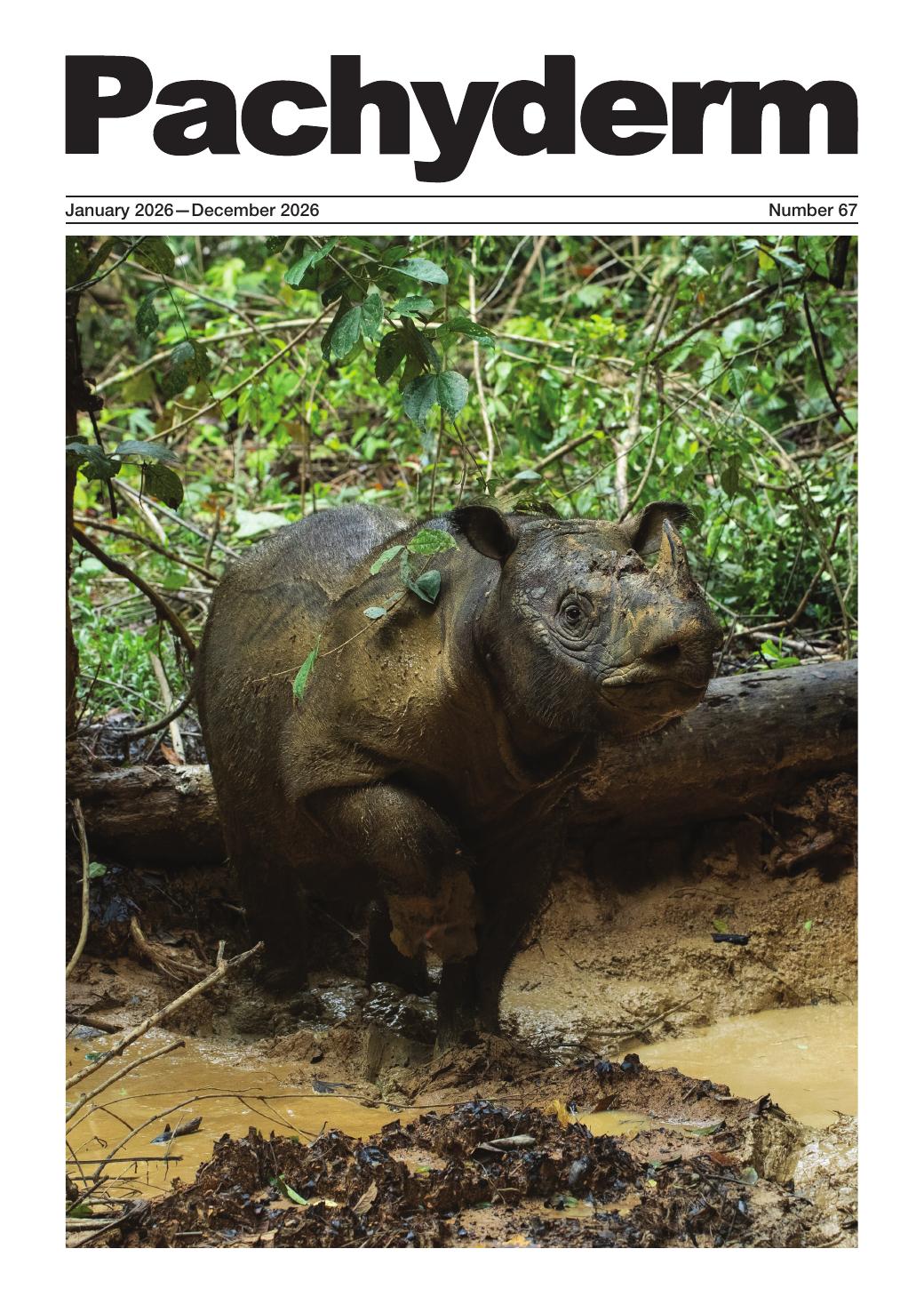					View Vol. 67 (2026): Pachyderm
				