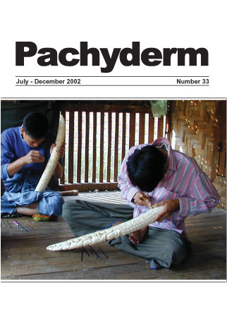 					View Vol. 33 (2002): Pachyderm
				