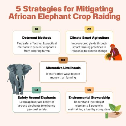 Five strategies to mitigate African savannah elephant crop raiding, were developed in conjunction with local experts and distributed in manuals to participants from communities in the Kasigau Wildlife Corridor of Kenya.