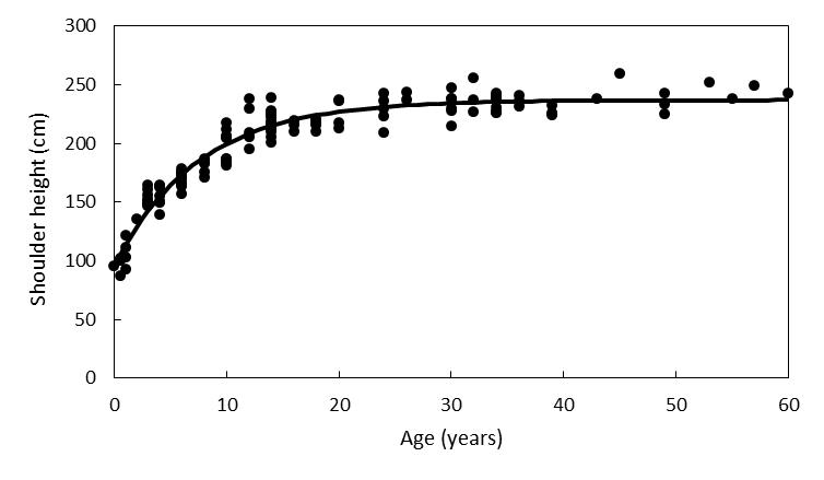 Growth of shoulder height against estimated age for female elephants aged 0.5–60 years.