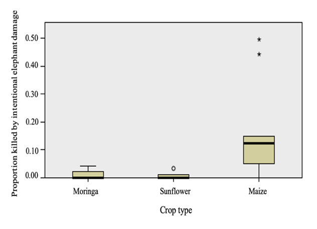 Weinmann et al./Fig. 5