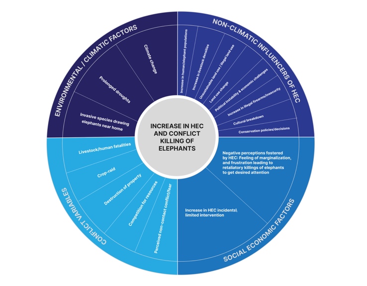 Leneuiyia et al. Fig 8