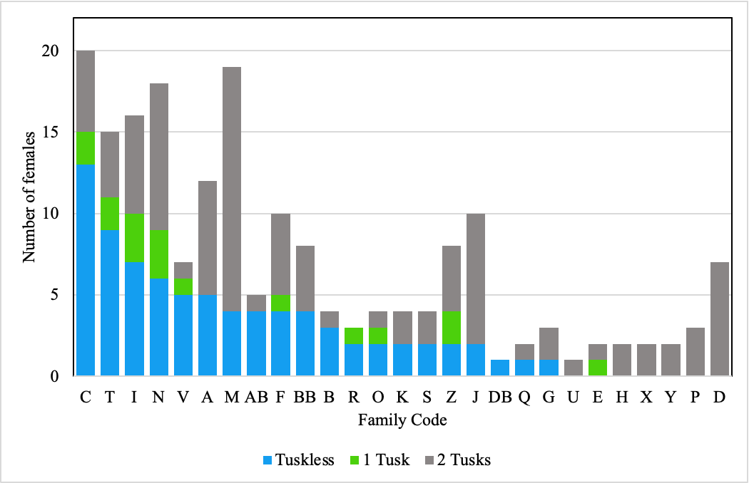 Figure 4. Frequency of two-tusked, one-tusked and tuskless females by family.