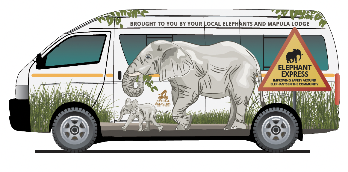 Figure 2a. Elephant Express bus exterior branding designs. (Illustrations by courtesy of Natural Selection Safaris)